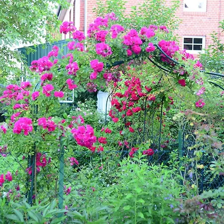 公寓 Am Rosengarten *